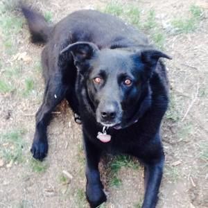 Meet your Posher, Caley